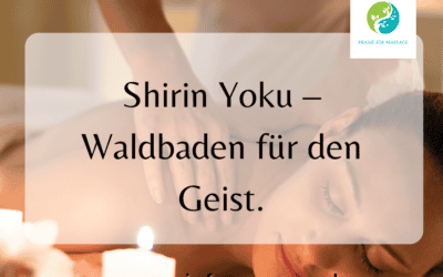 Shirin Yoku – Waldbaden für den Geist.